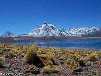 Chile - Chile - Lagoons near San Pedro de Atacama - in Los Flamencos reservation