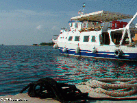 Croatia - Porec and surroundings