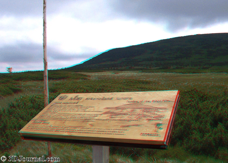 Krkonoše - Krkonošská tundra