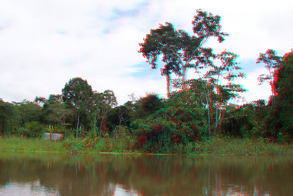 Peru - Amazonie - džungle