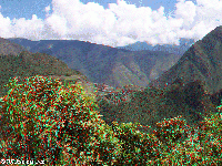Peru - Machu Picchu - a view from Putucusi