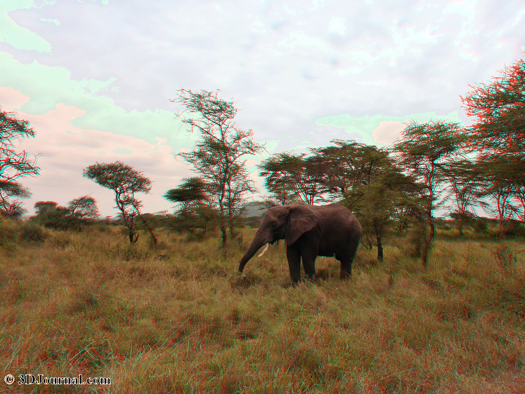 Tanzania - National parks: Serengeti, Lake Manyara, Ngorongoro