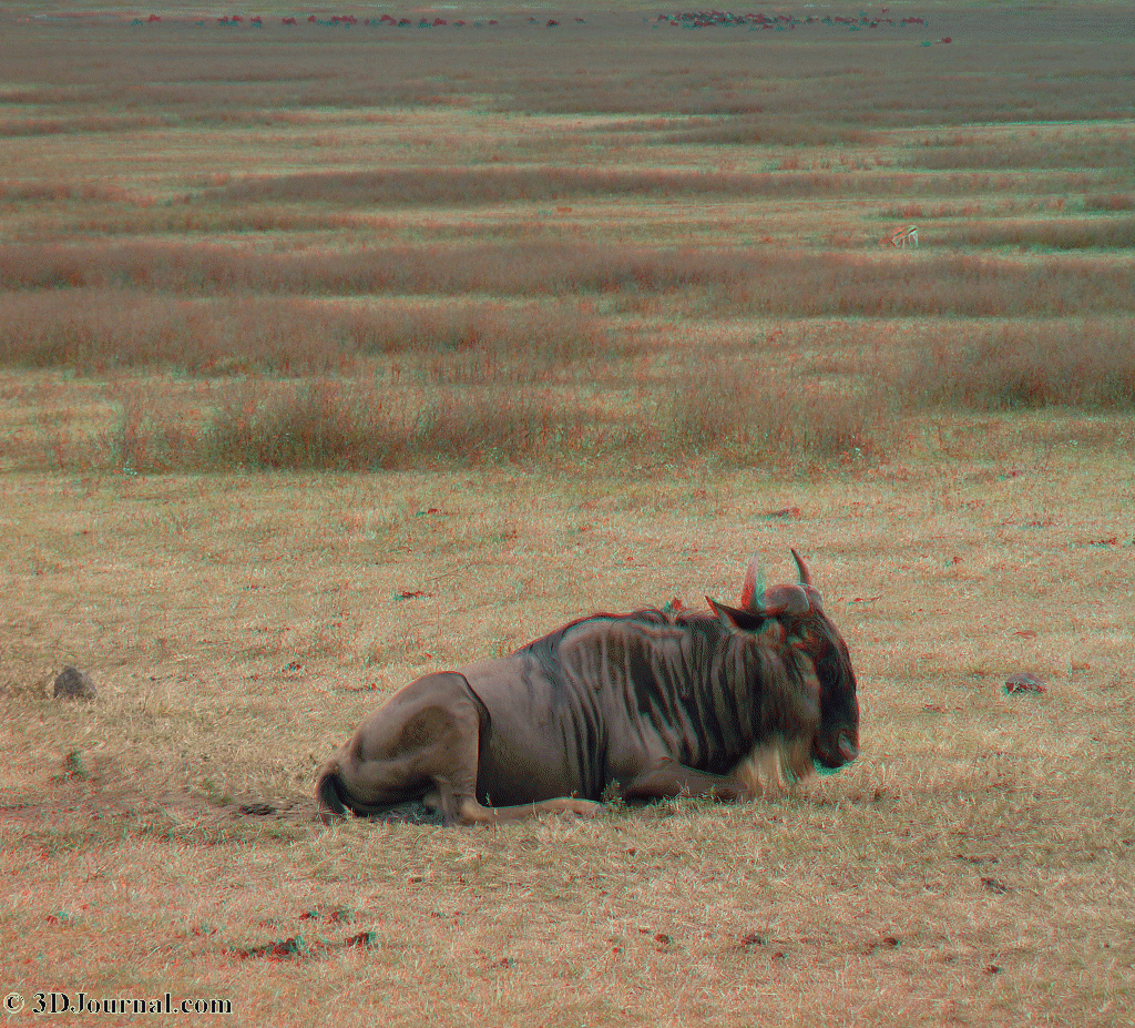 Tanzánie - Národní parky Serengeti, Lake Manyara, Ngorongoro