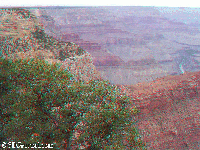 Grand Canyon - South rim