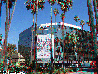 Hollywood - a street