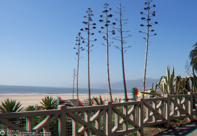 Los Angeles - pláž a okolí - Santa Monica