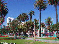 Los Angeles - Santa Monica