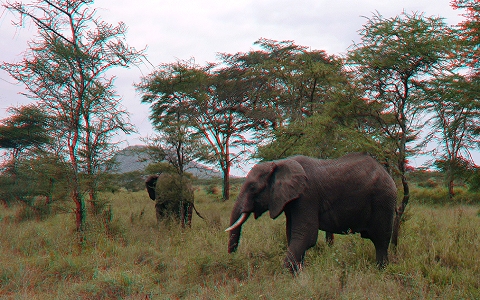 Tanzánie 3D